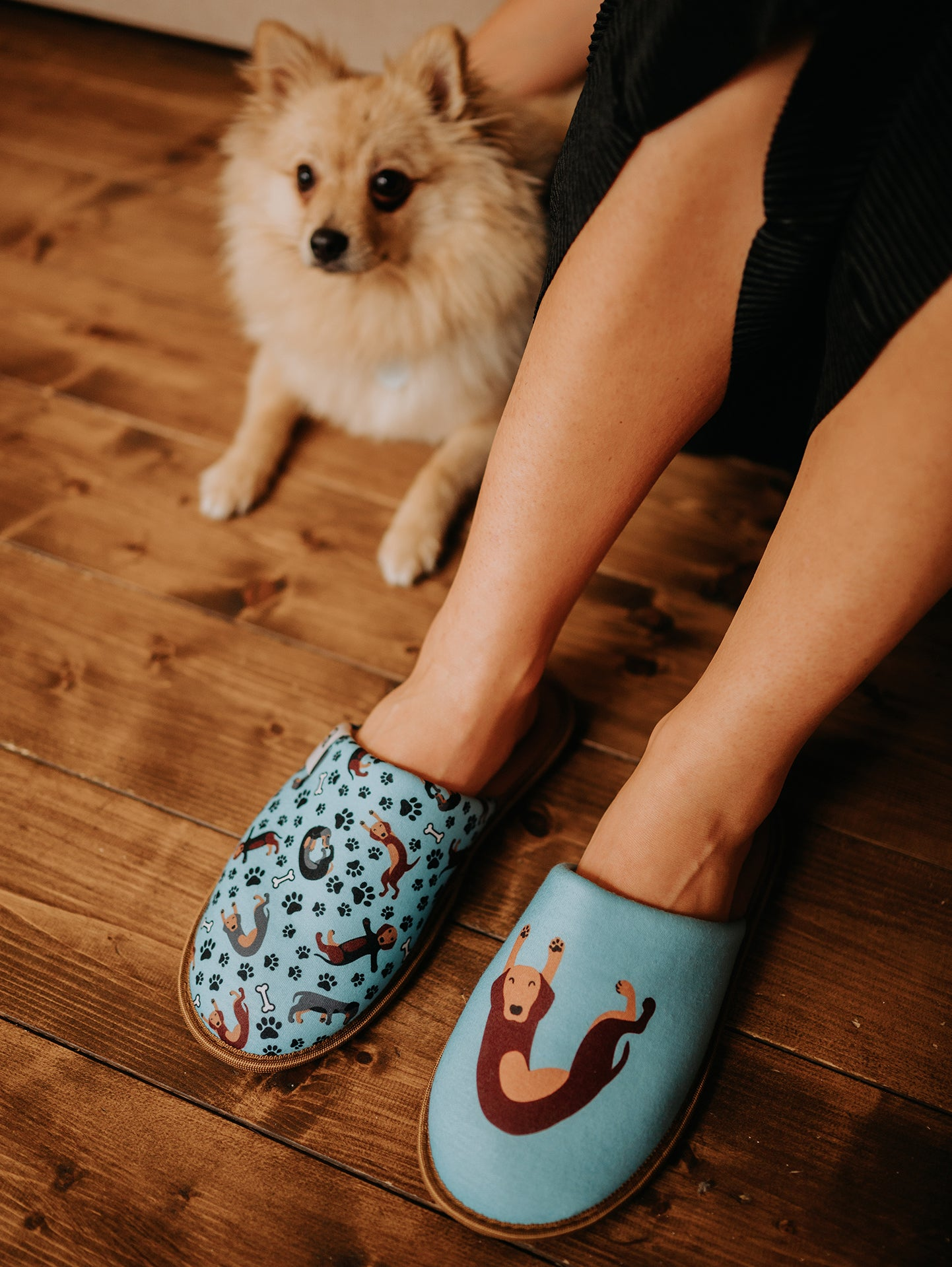 slippers-dachshund-b8/b898d2d3cf2e6e7844b51f878ddf0caf55c90293