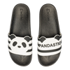 Slides Pandastic