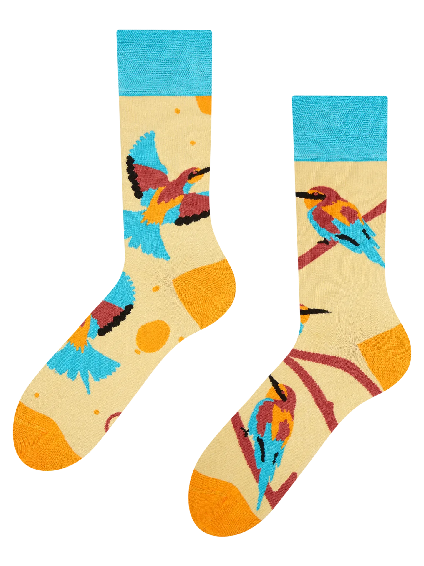 bamboo-regular-socks-bee-eater-bird-43/43603c360305fcee906fa6a27f72460cafbac53c