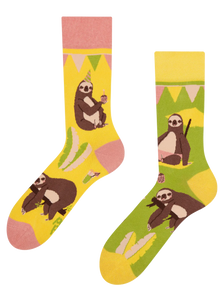 Regular Socks Party Sloth