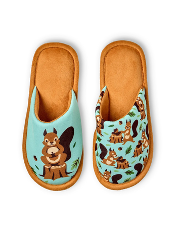 Slippers Squirrel in the Woods
