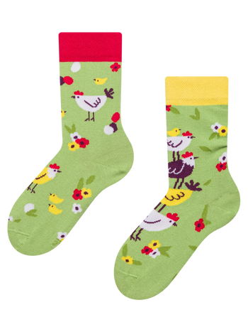 Kids' Socks Hens & Chicks