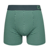 Pastel Green Men's Patterned Trunks
