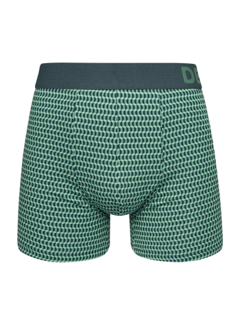 Pastel Green Men's Patterned Trunks
