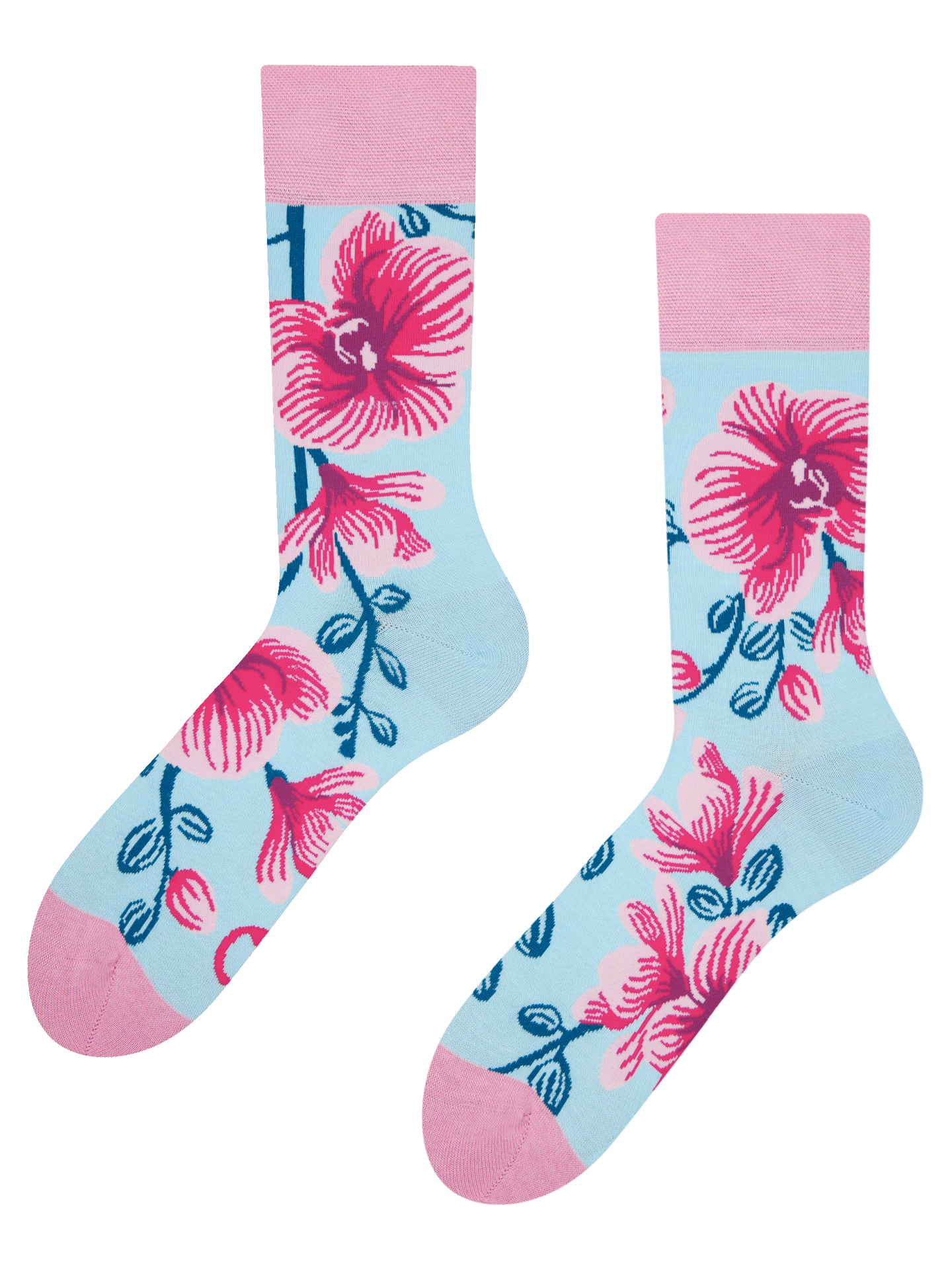 regular-socks-orchid-02-49/49e2dc0947aebd32e1bdf3c7e2a4caa9fd52f66c