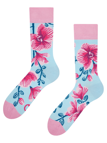 regular-socks-orchid-02-49/49e2dc0947aebd32e1bdf3c7e2a4caa9fd52f66c