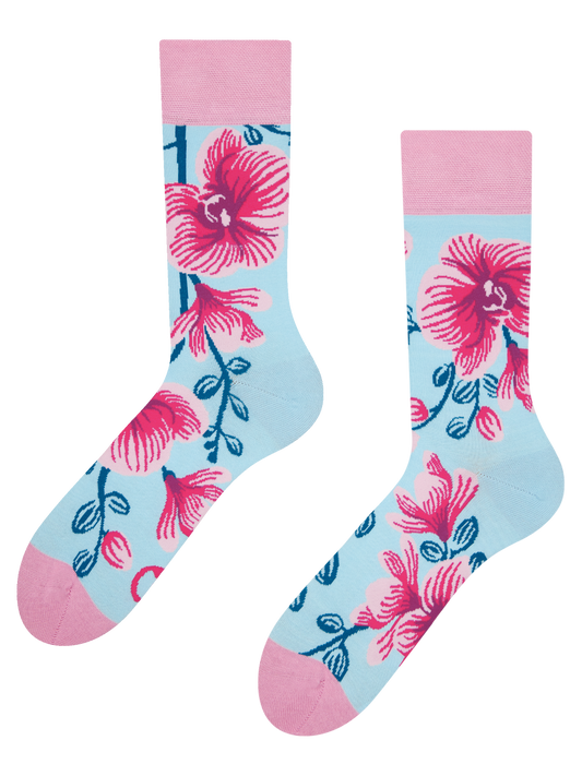 regular-socks-orchid-02-49/49e2dc0947aebd32e1bdf3c7e2a4caa9fd52f66c