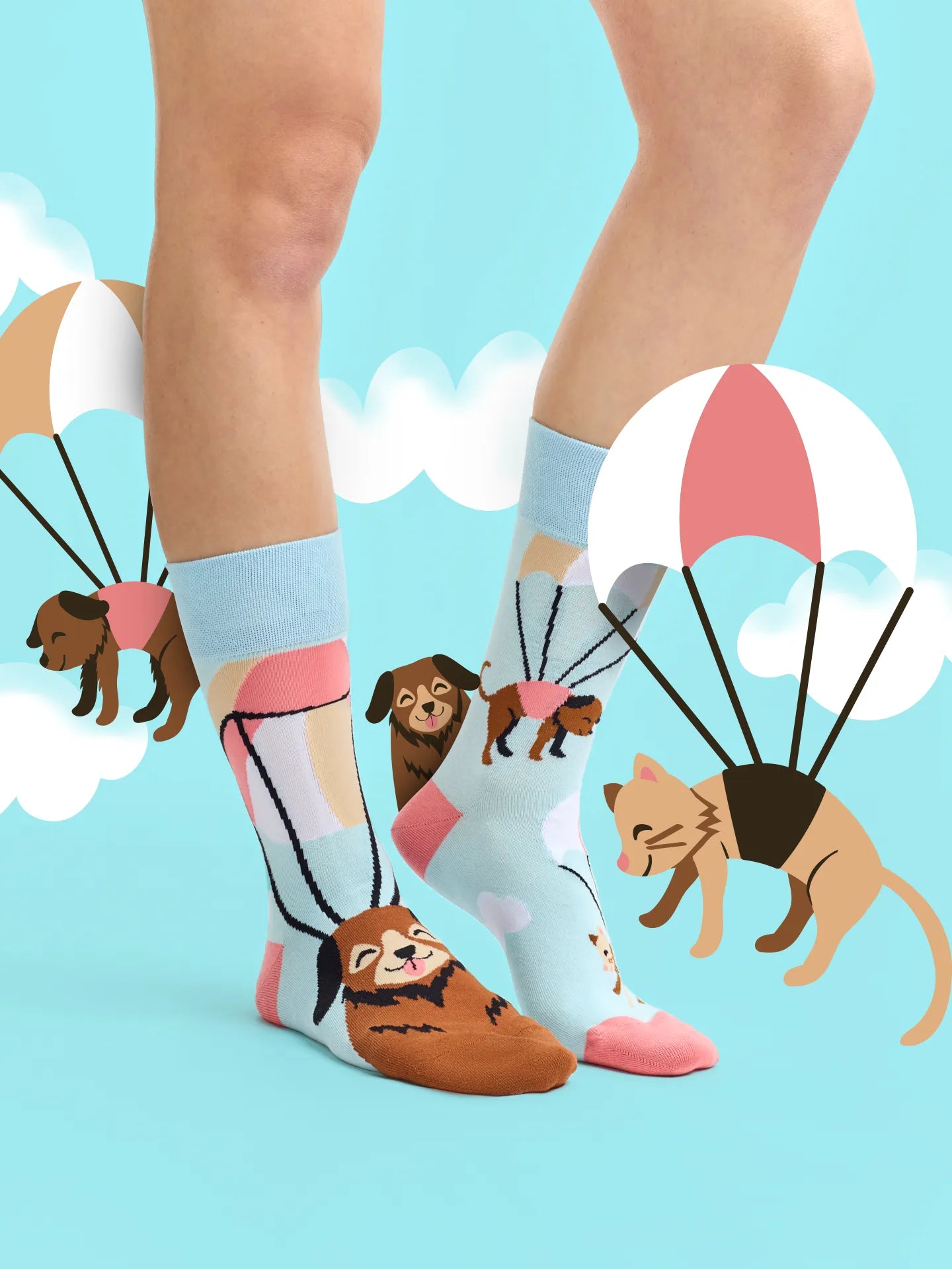 regular-socks-flying-cats-dogs-02-8c/8c81d7a642696ec1e5b3dd739a1d07199faafcea