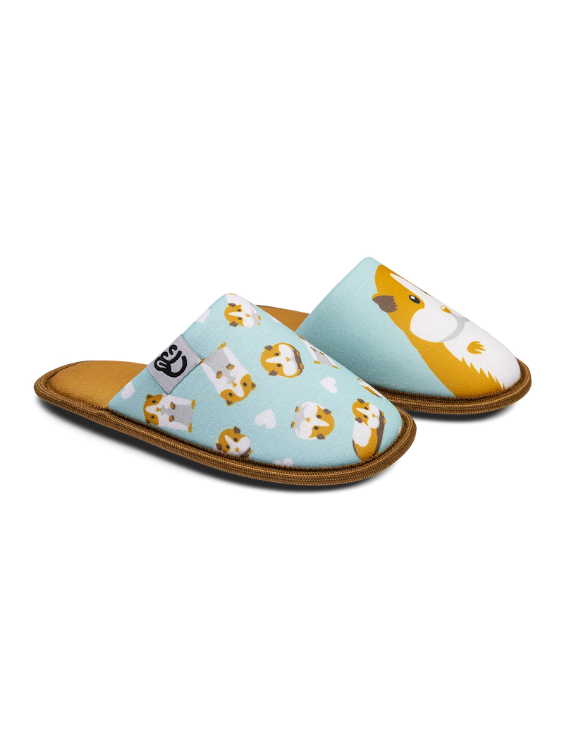 kids-slippers-guinea-pig-17/17ac7df3a520cadbc962147bc382e559d3442a65