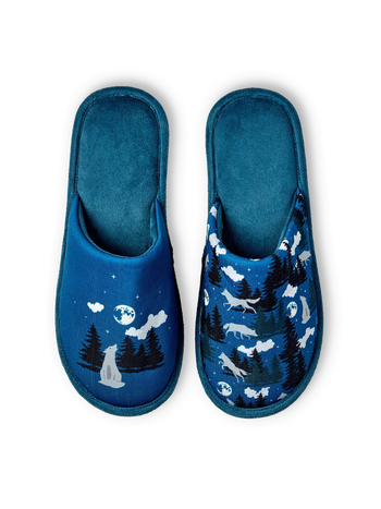 Slippers Wolf & Moon