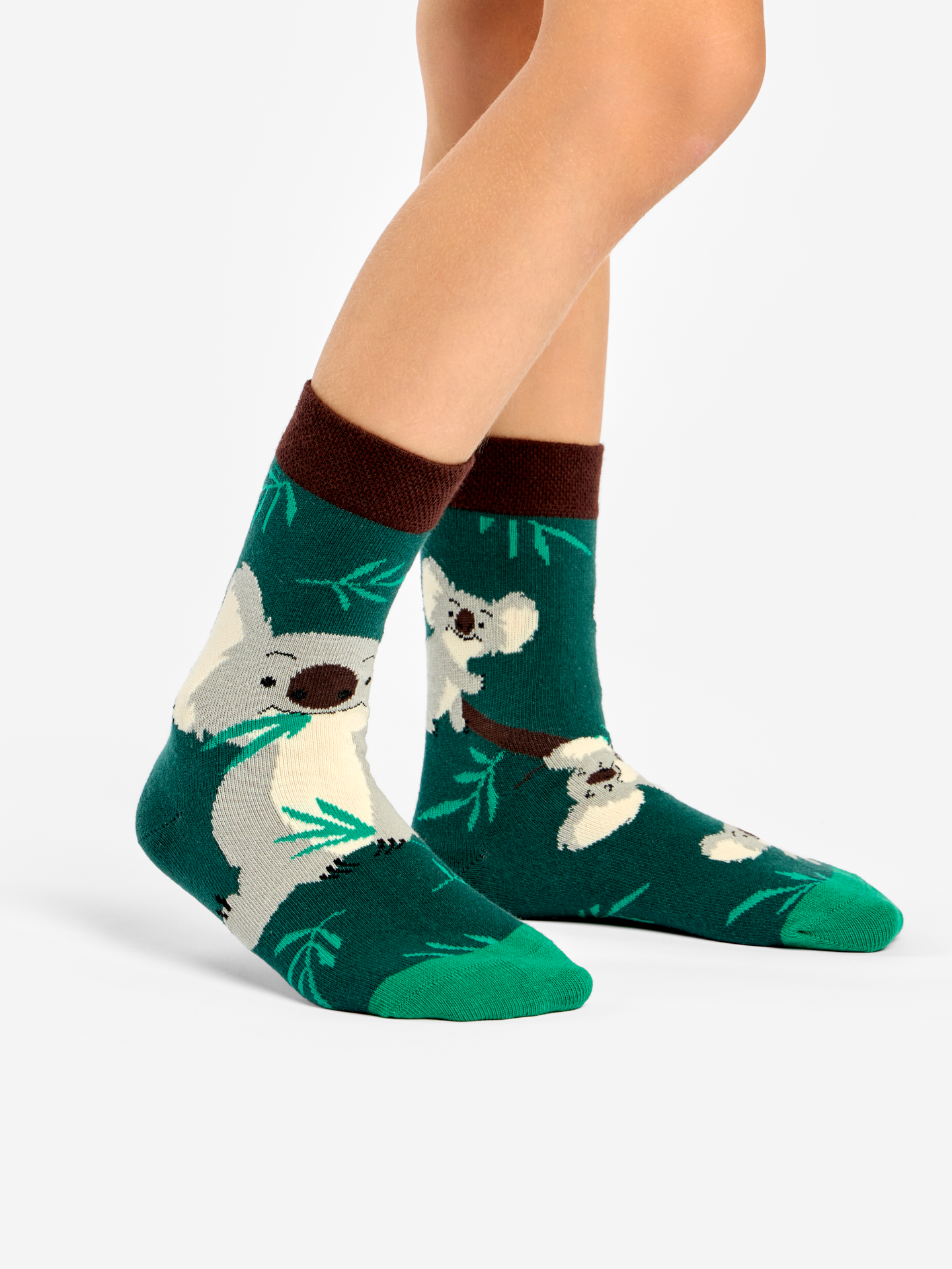 kids-socks-koala-leaves-0b/0b7bdc7f73e792ab0ac6f76d3733eaa50191582f