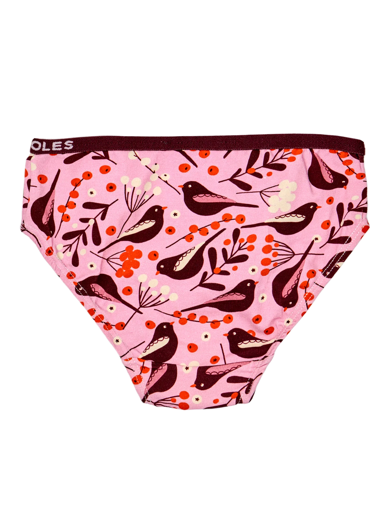 girls-briefs-birds-berries-1d/1d437497be6190bdf111d8613a19386c9e0c3424