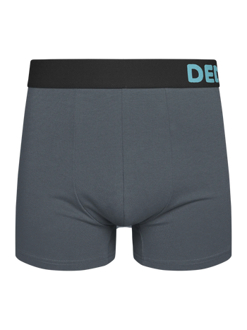 Grey Men's Trunks