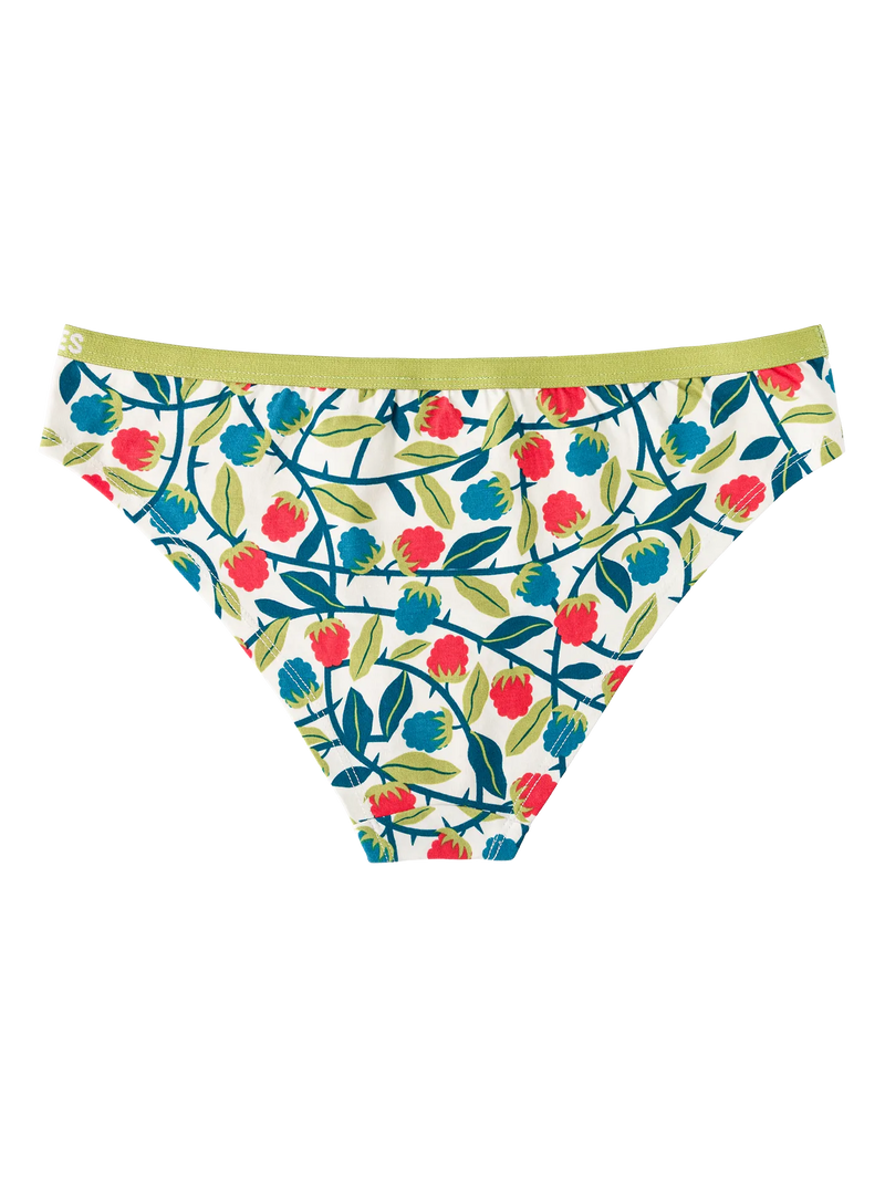 womens-briefs-raspberries-1-1d/1db08599093269dc9c379a6f1e7c141dd9c36098