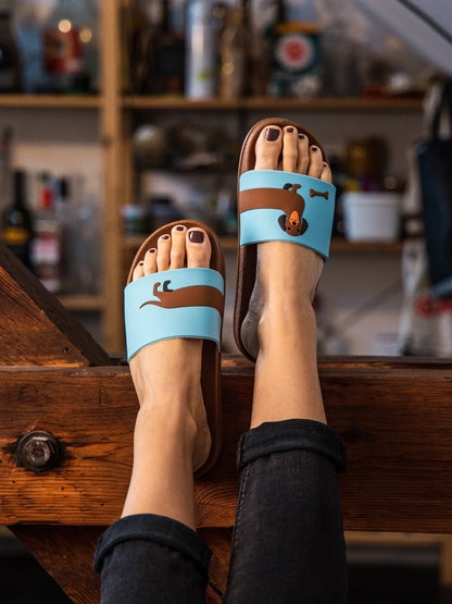 slides-long-dachshund-1-49/494d8f9a923c44efa30297a248efe033afaa35fd