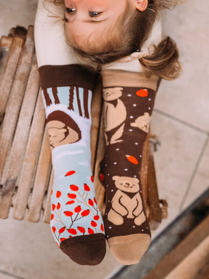 warm-socks-bear-in-winter-1-61/617f438c3f9e67b040f3ce45b192792524e510fe