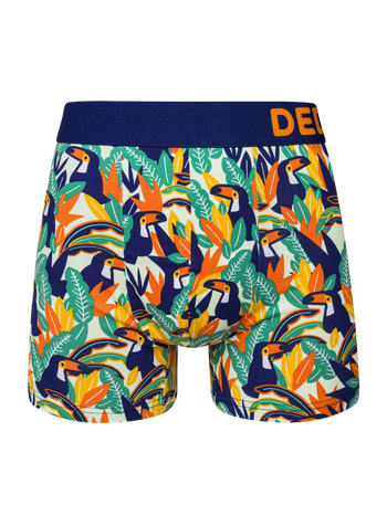 Men's Trunks Toucan & Leaves