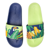Slides Toucan & Leaves