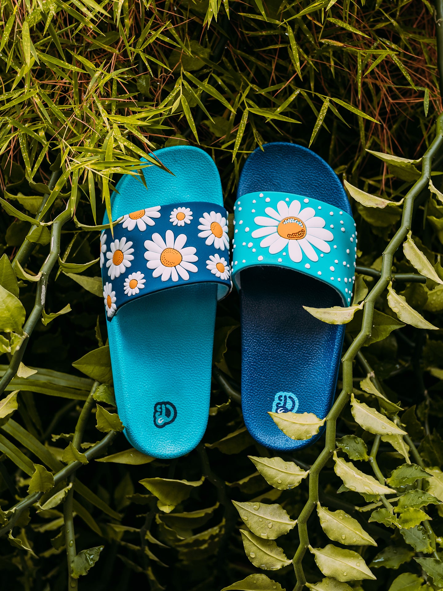 Slides Daisy Blossom