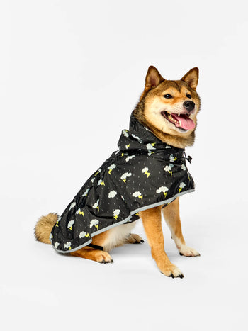 Dog Raincoat Storm