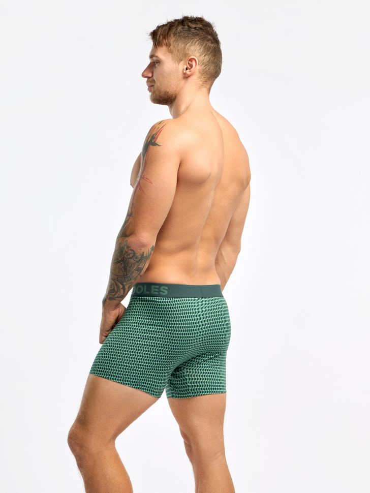 pastel-green-mens-pattern-trunks-5b/5b14a4ee9172ab8c5f129f5585dbcc55fe0a7434