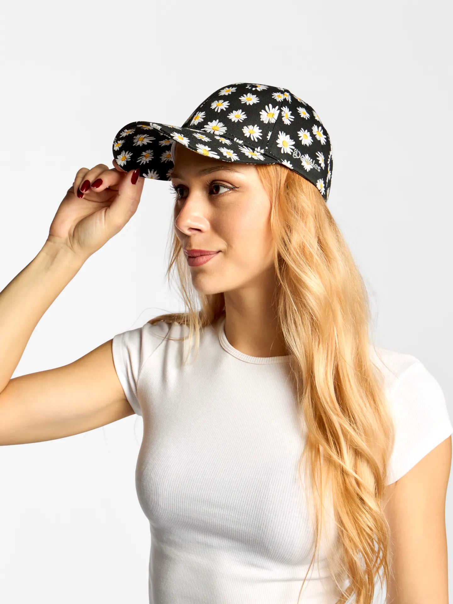 cap-daisies-at-night-2f/2fecec4b918d95c302237db7e03ce871900cf0be