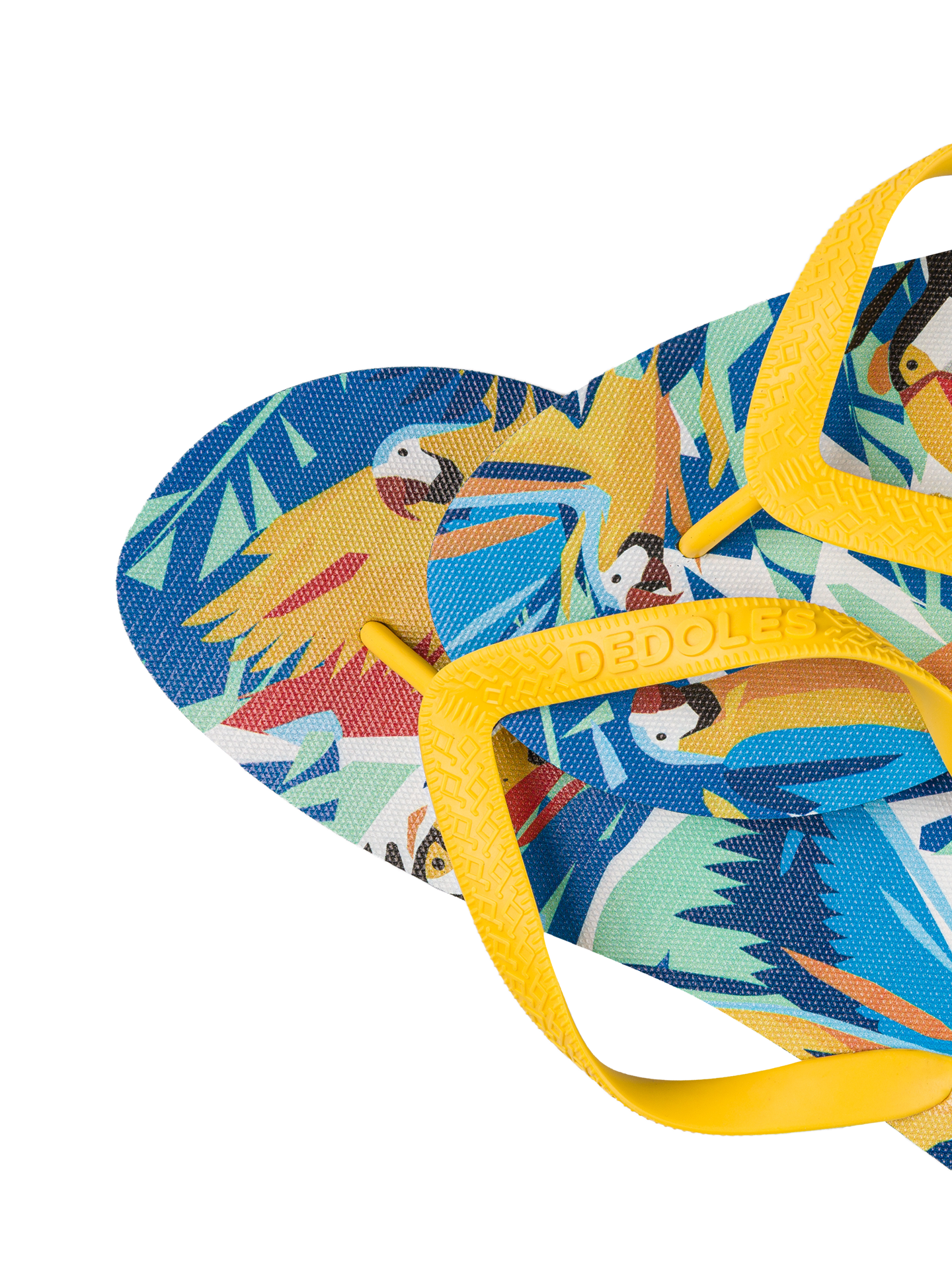 flip-flops-tropical-birds-69/690a53338e633815e052449bf825aef3f3d3d114