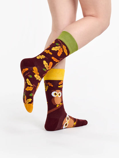 regular-socks-curious-owl-02-33/330437dae9ece4d8538e6f0bf89775c7183bcdcf