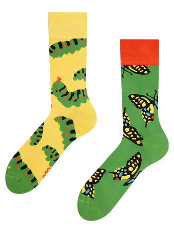 Bamboo Regular Socks Swallowtail Butterfly
