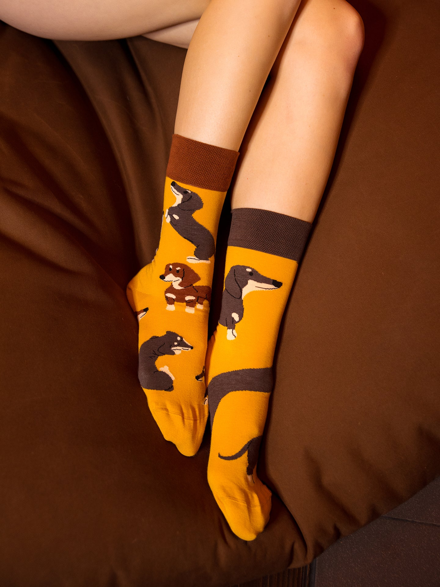 regular-socks-dachshunds-02-3f/3fb6da44724f5e12cec51faa6d6536f057c3b156