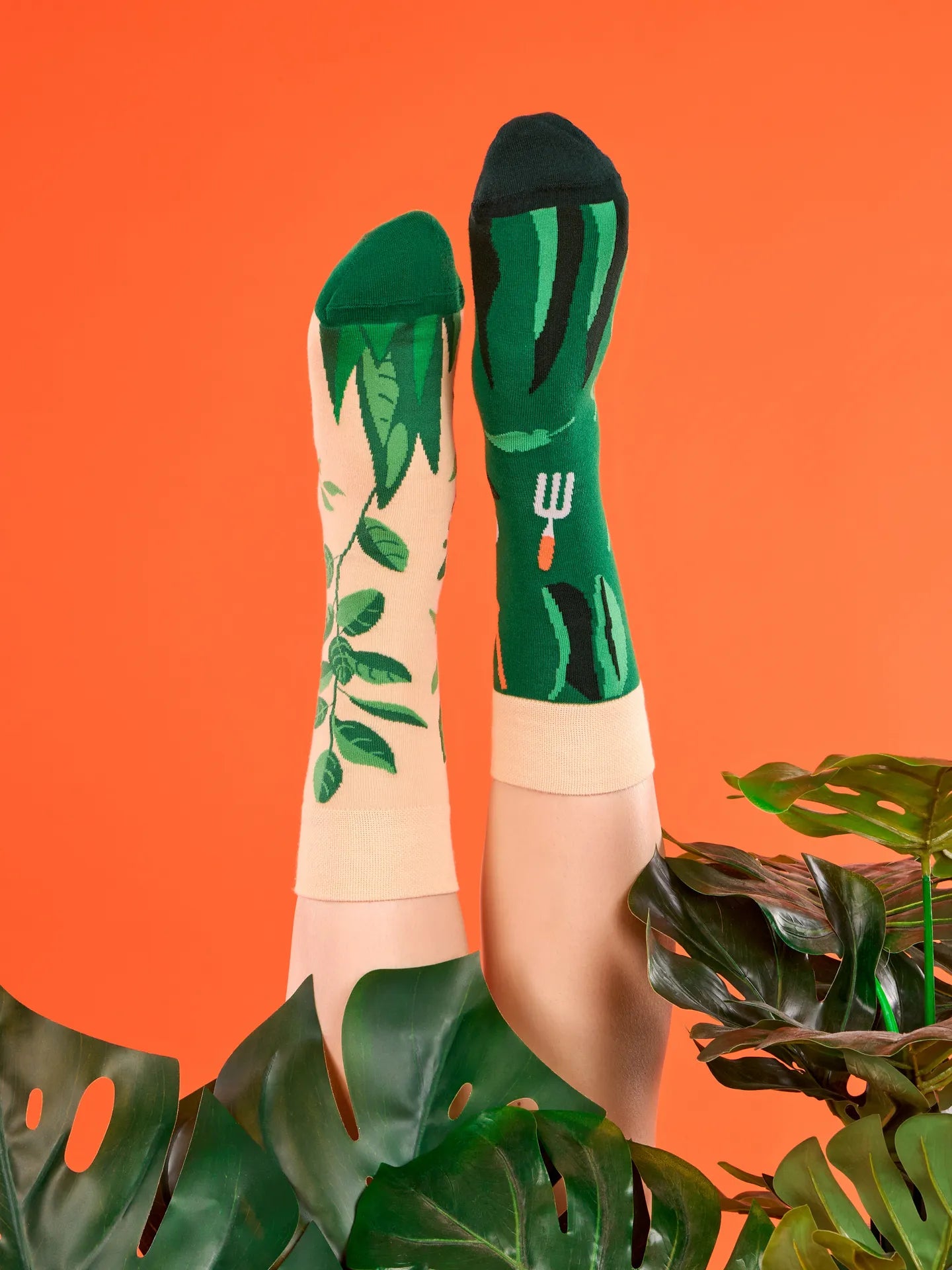 regular-socks-in-the-garden-02-ba/ba05510392ac78cd1cd6bf33c46e72b97ad7e225