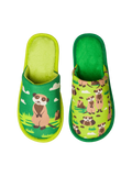 Slippers Meerkats