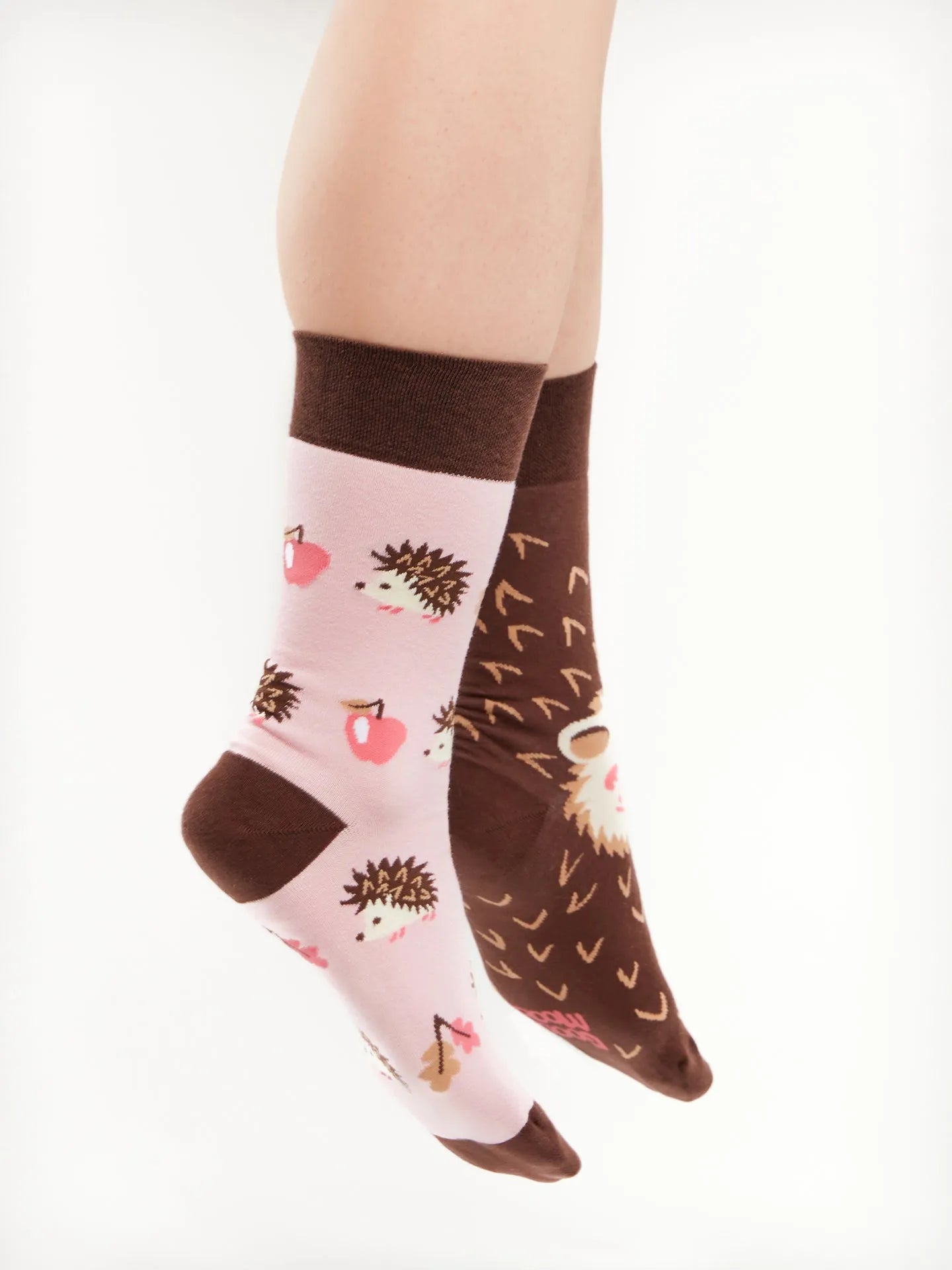 regular-socks-hedgehog-38/38dfccfe8a7125830154680101e70d1cecf00859