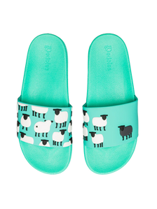 Slides Black Sheep
