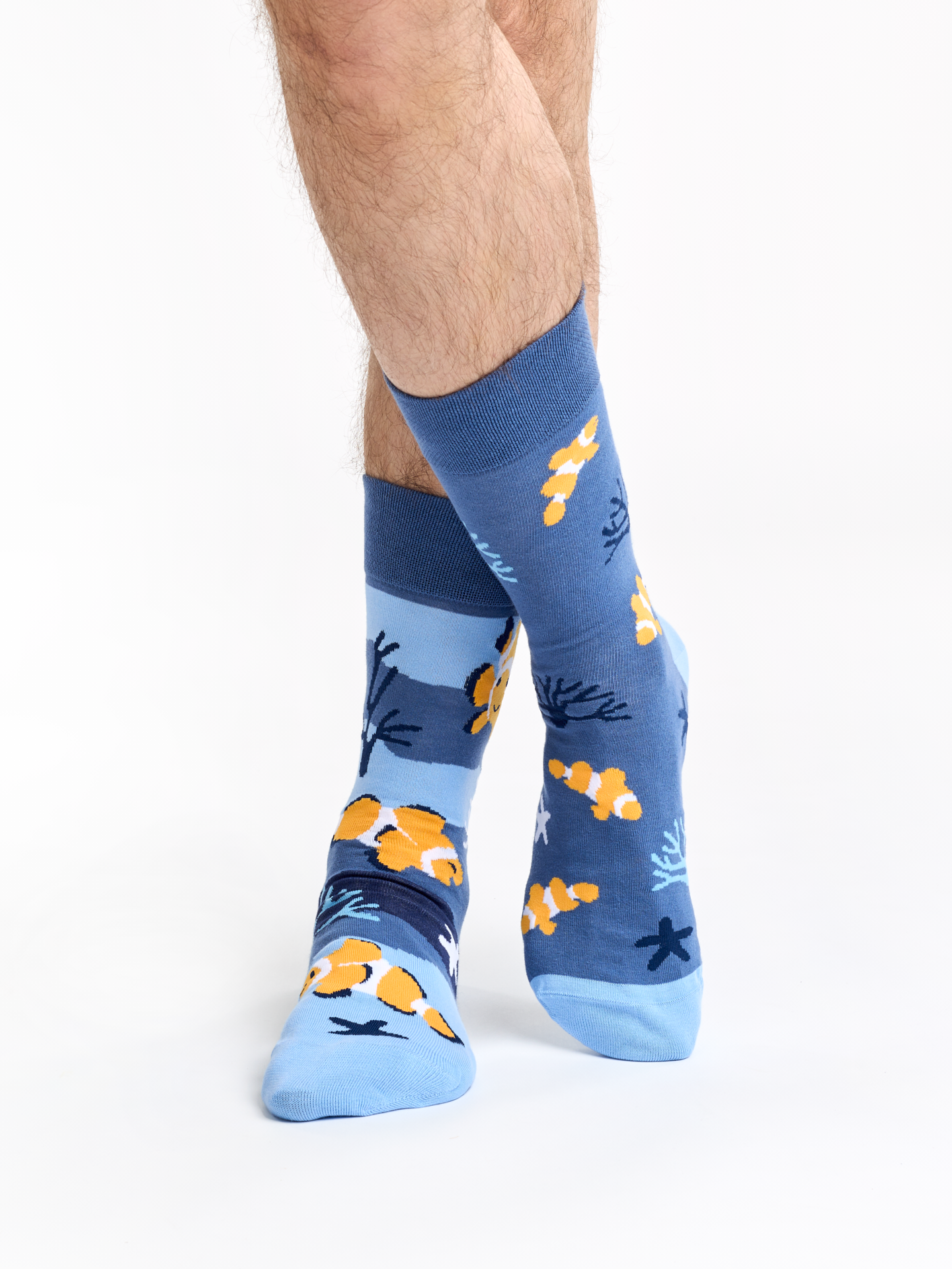 regular-socks-clown-fish-02-17/17a22086f6e4c44524f492895cdf70a9fe99469e