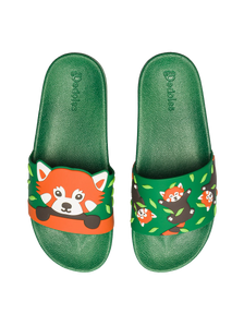 Slides Red Panda
