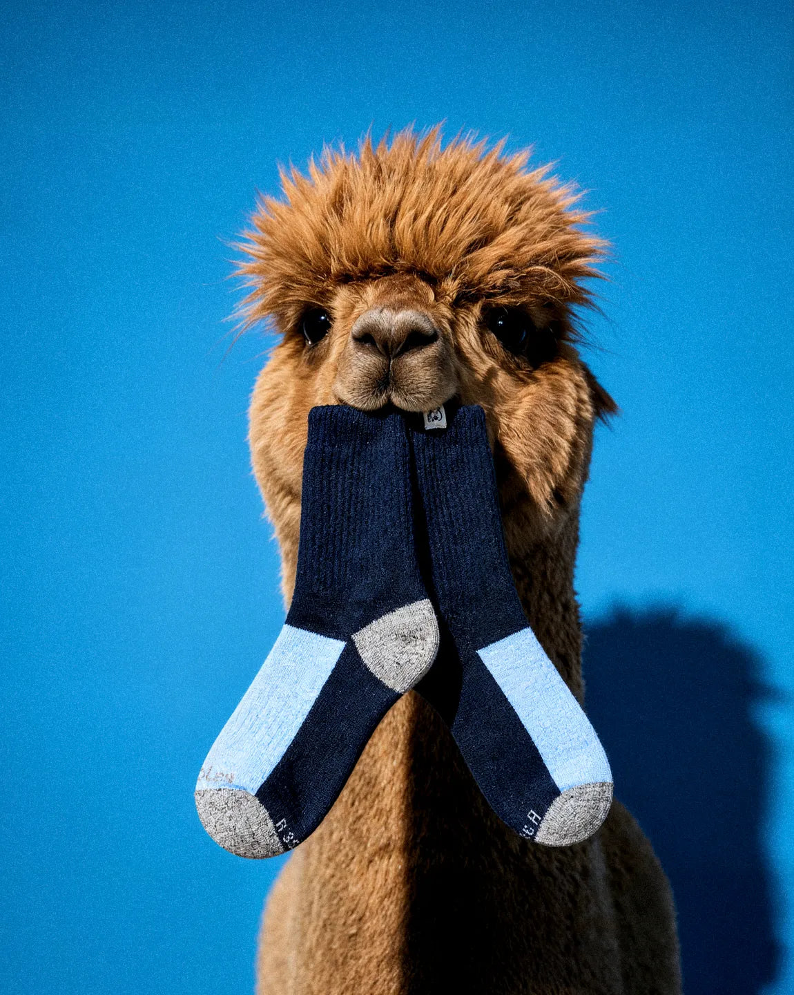 dark-light-blue-alpaca-socks-3d/3d7888609292f5070b32305b5791c24e15cd0a1a