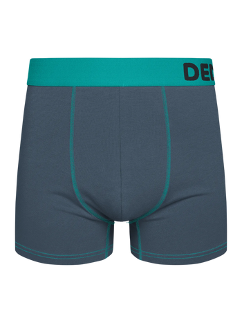 Grey & Turquoise Men's Trunks