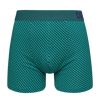 Blue & Green Men's Patterned Trunks