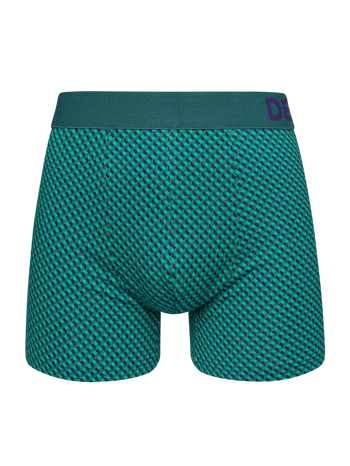 Blue & Green Men's Patterned Trunks