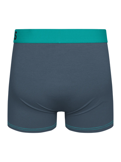 grey-turquoise-mens-trunks-42/42eed90b96f21d2ed5e320c952ff101e203bc2cf