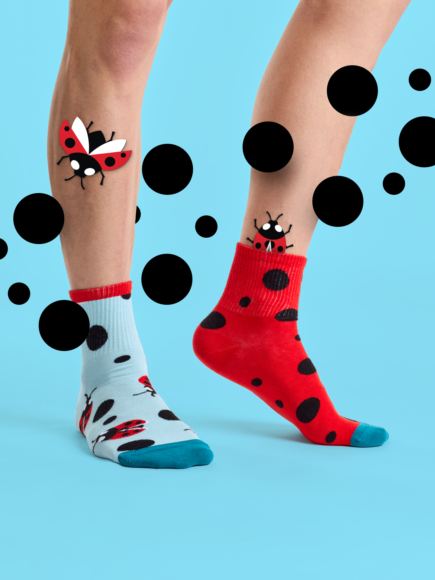 crew-socks-ladybugs-dots-02-5b/5b8ab9377d30ee3f1d298b01166939800aa356ef