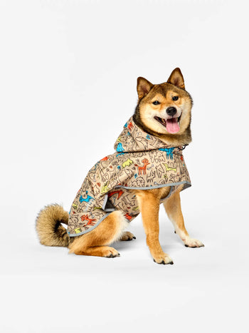 Dog Raincoat Dog Pack