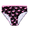 Girls' Briefs Flamingos & Hearts