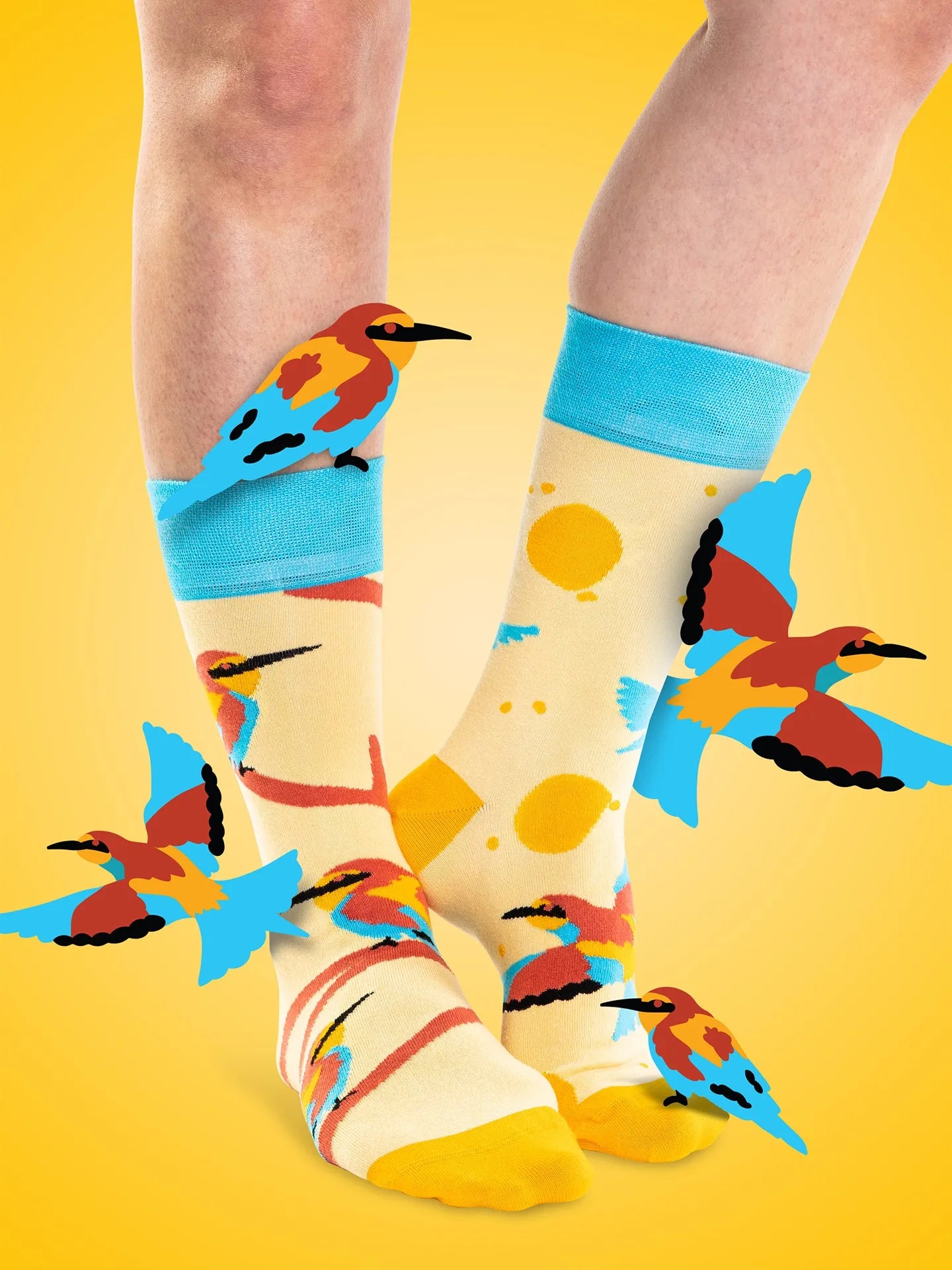 bamboo-regular-socks-bee-eater-bird-7b/7bf2f0d8852f1392cc498514ed90f2f117f42b49