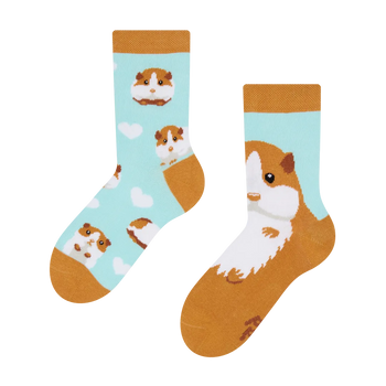 Kids' Socks Guinea Pig
