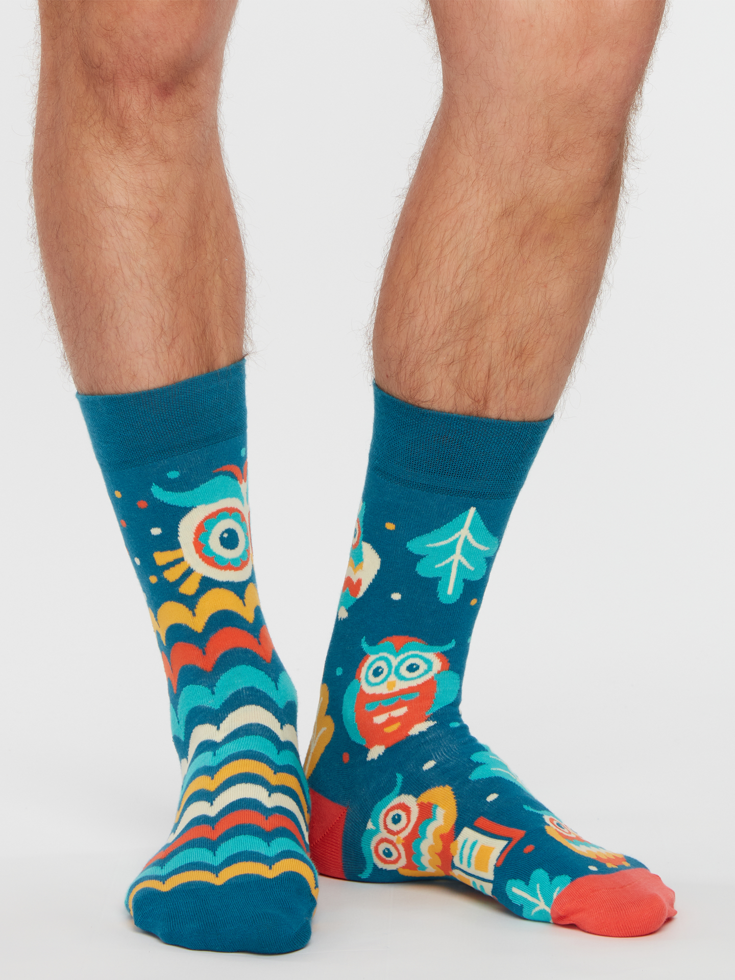 regular-socks-wise-owl-02-e6/e6b6ccef559a98c8426c3aecb30526c5362ffa7d