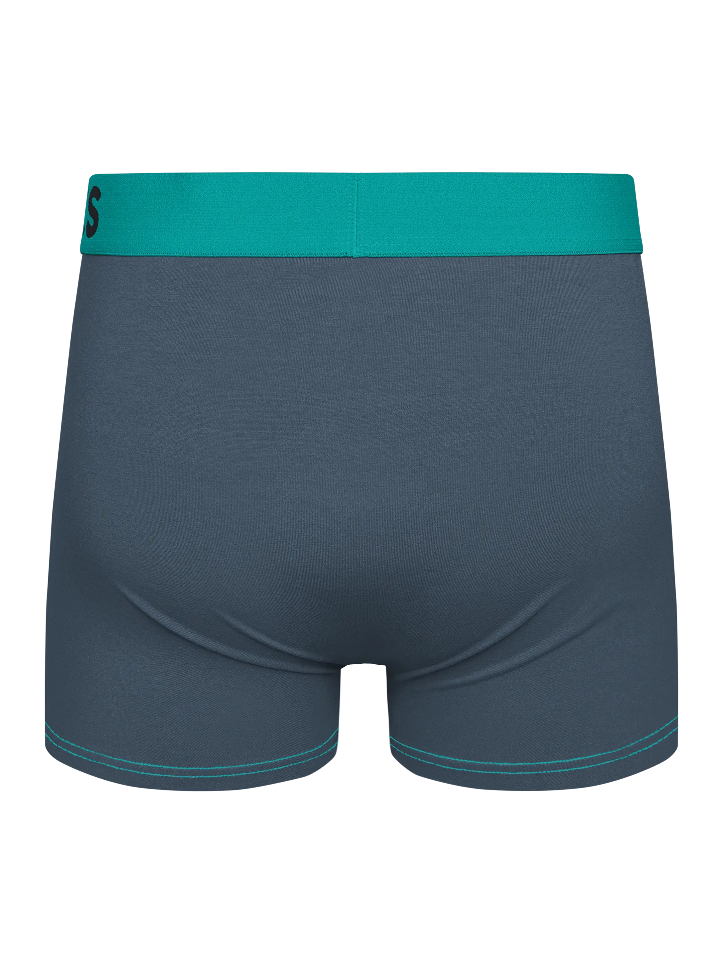 grey-turquoise-mens-trunks-1-42/42eed90b96f21d2ed5e320c952ff101e203bc2cf