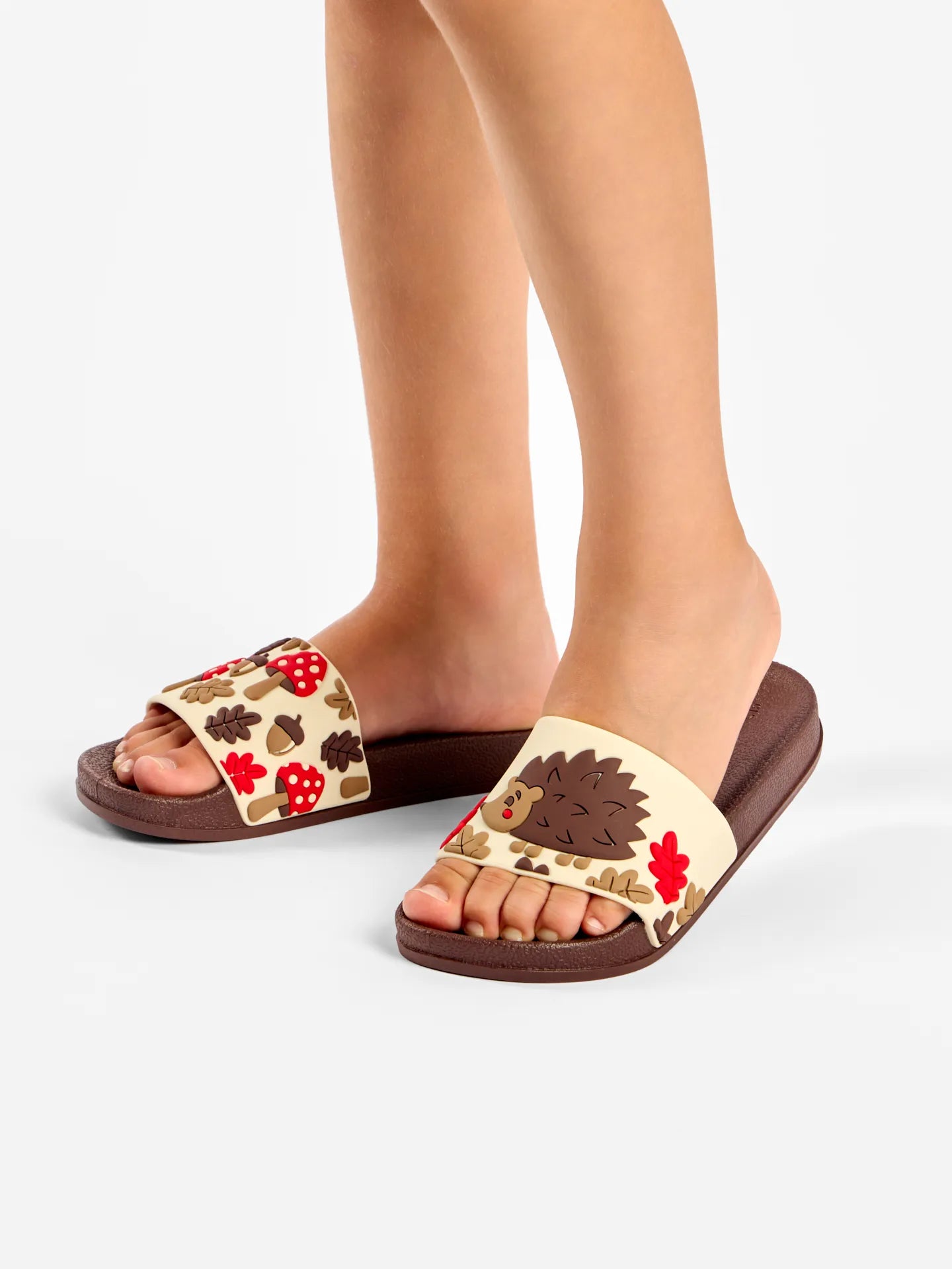 kids-slides-forest-hedgehog-57/571a012ad569d2202994de4b20b0bd813d5e085e