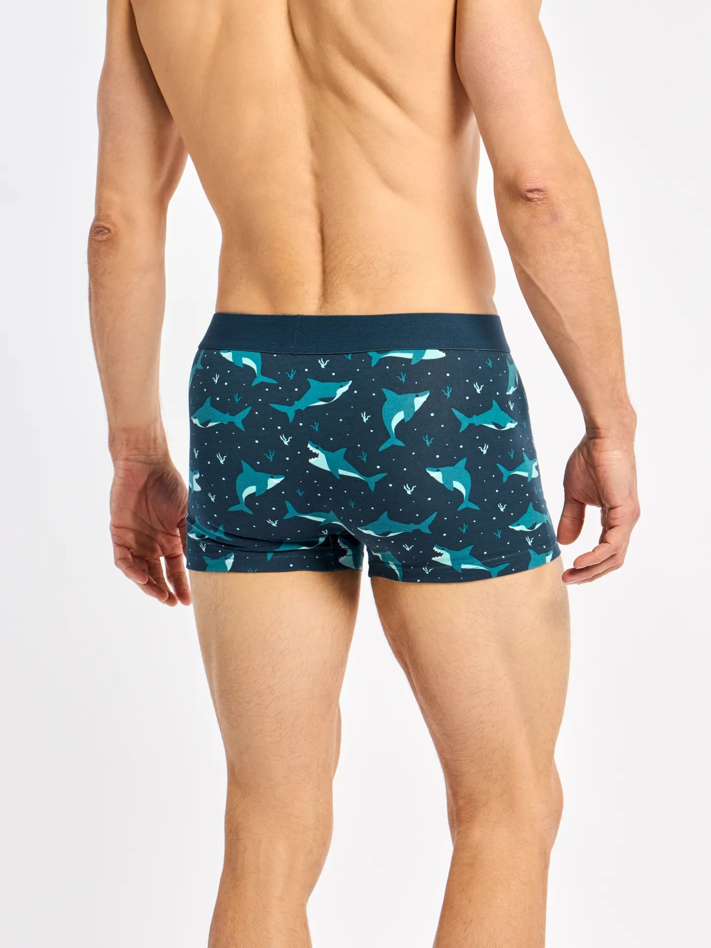 mens-trunks-short-length-blue-shark-58/584d81dbd807f1080287045eb64128e86e0fa609
